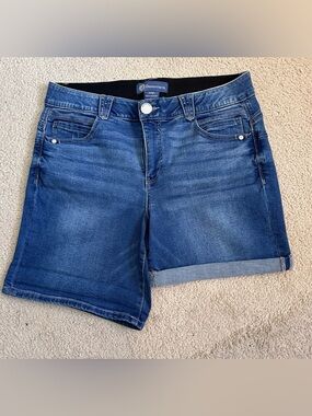 Democracy absolution, jean shorts size 10 petite